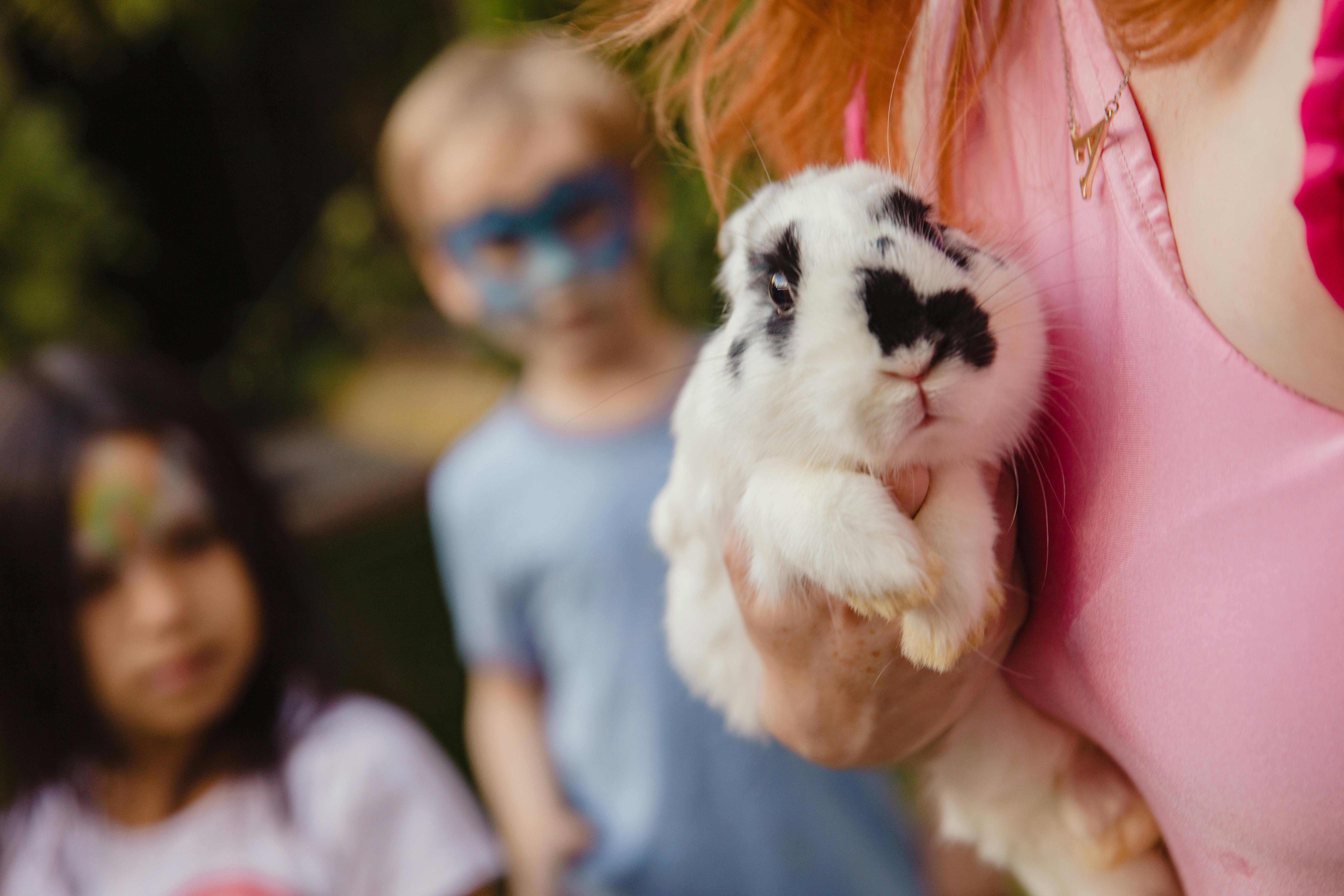 Hamster Eye Care